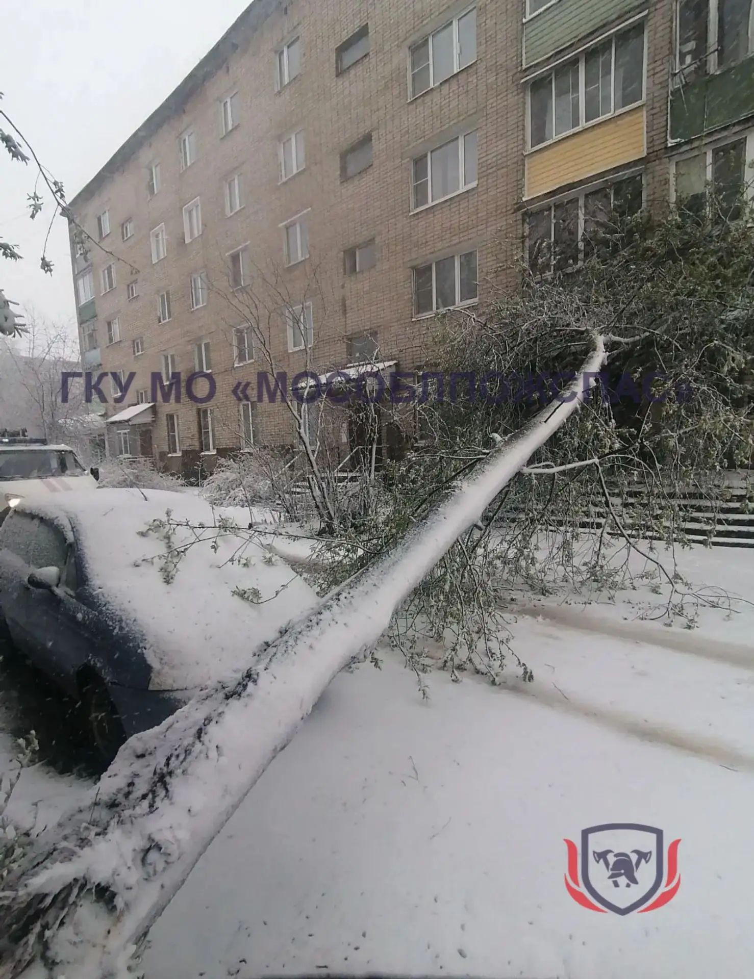 ❄️Оборванные провода, деревья на трассе. Спасатели продолжают ликвидировать последствия снегопада 🚨 