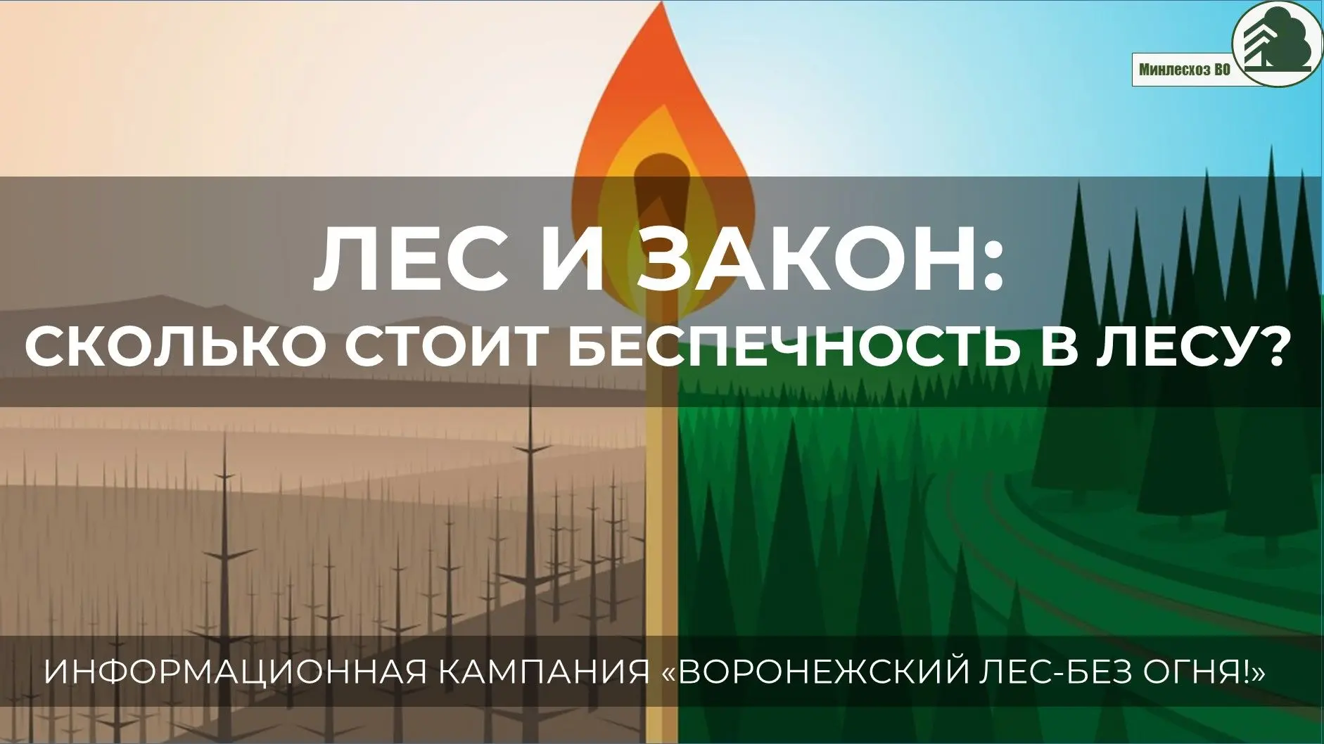 Лес прекрасен, когда он жив и зелен. Но один брошенный окурок, непотушенная спичка или оставленный б