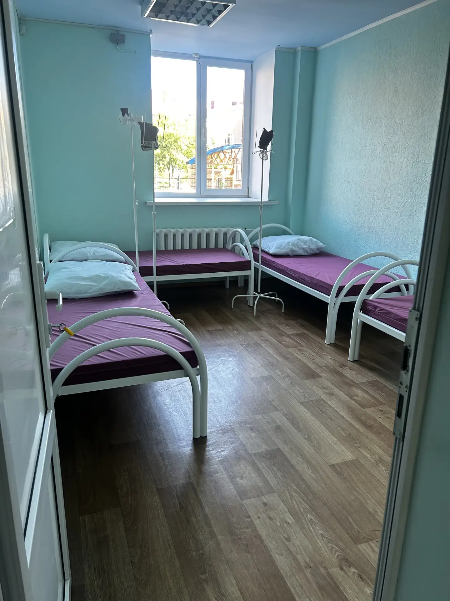 🏥 Наш дневной стационар всегда на связи!
Никаких очередей и бессонных ночей. Процедуры и лечение пр
