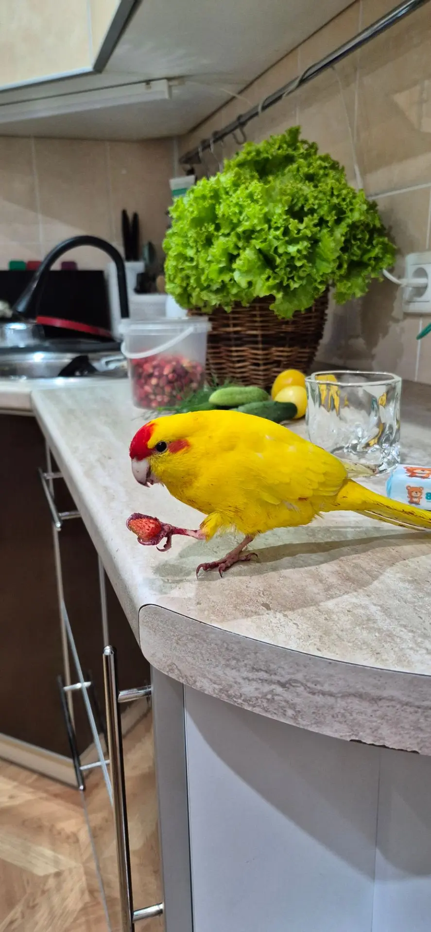Съездили на дачу, а мы всё ещё продолжаем собирать урожай 🍓🍅🥒