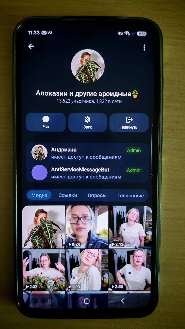 Друзья!!!
ОСТОРОЖНО МОШЕННИКИ

Есть только этот канал с названием @galinaplants

Андриана, то есть я