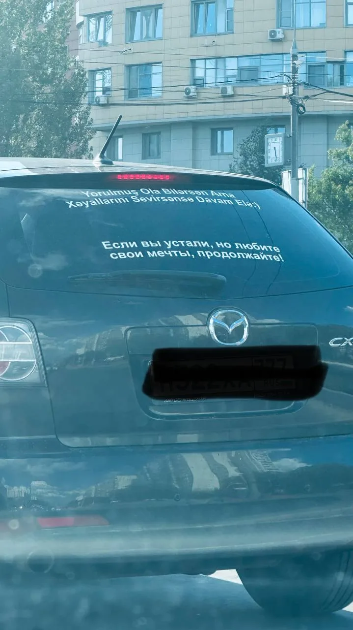 Полнолуния и зоопарк