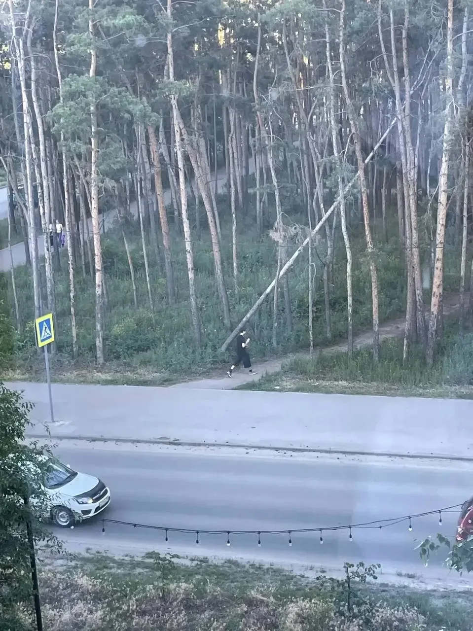 Добрый день! Юго-западный район монгоры, лесопарковая зона напротив пр. 50 лет Октября ...