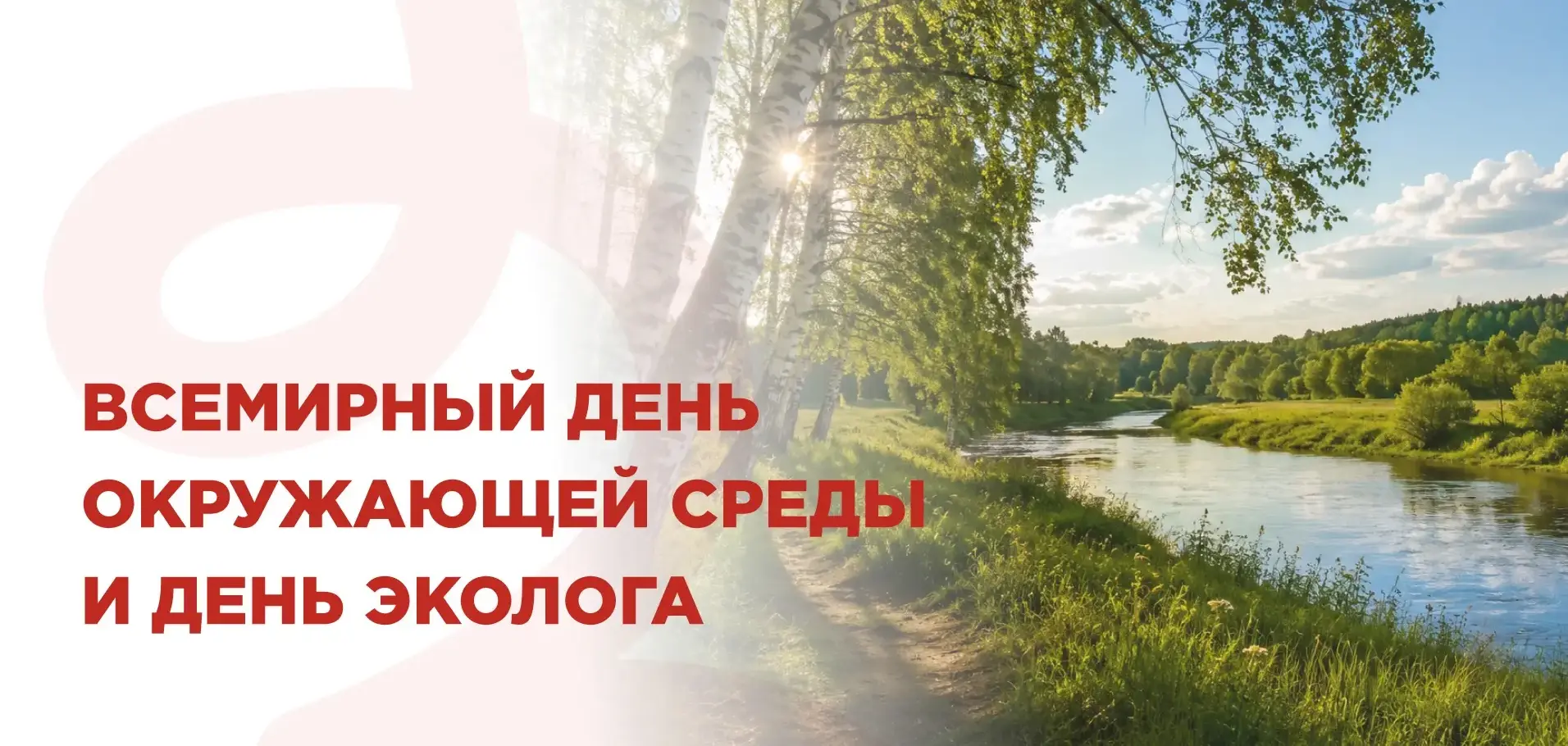 🍃 Природа не воспитывает словами — она учит делами. Поэтому главный урок экологии для ребёнка — это