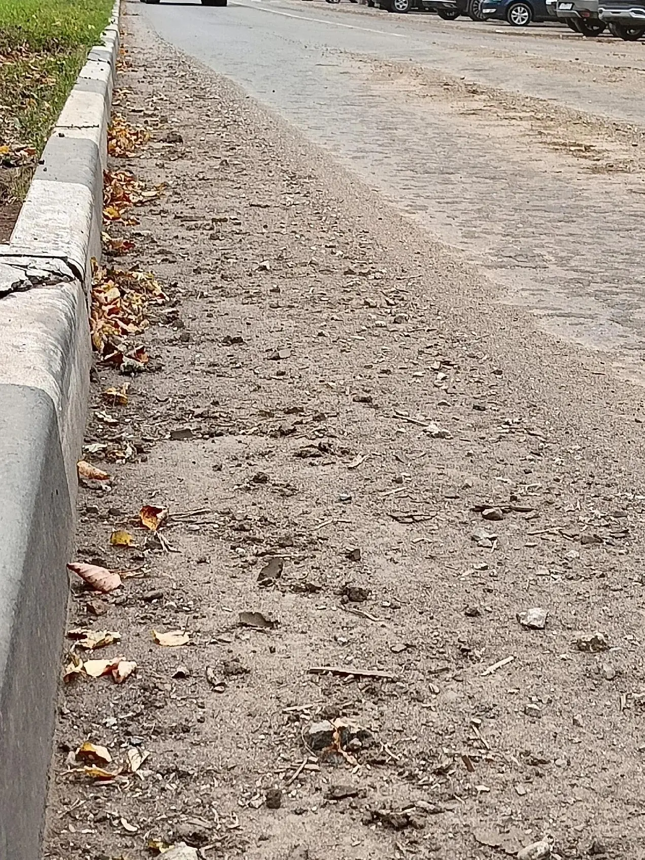 На Добролюбова развезли грязь на дорожном полотне. Много щебня насыпано. Пыль летит.