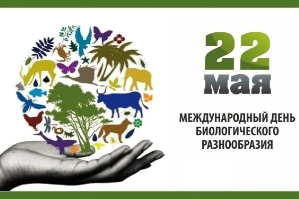 Экологическое просвещение: мероприятия ко Дню биологического разнообразия