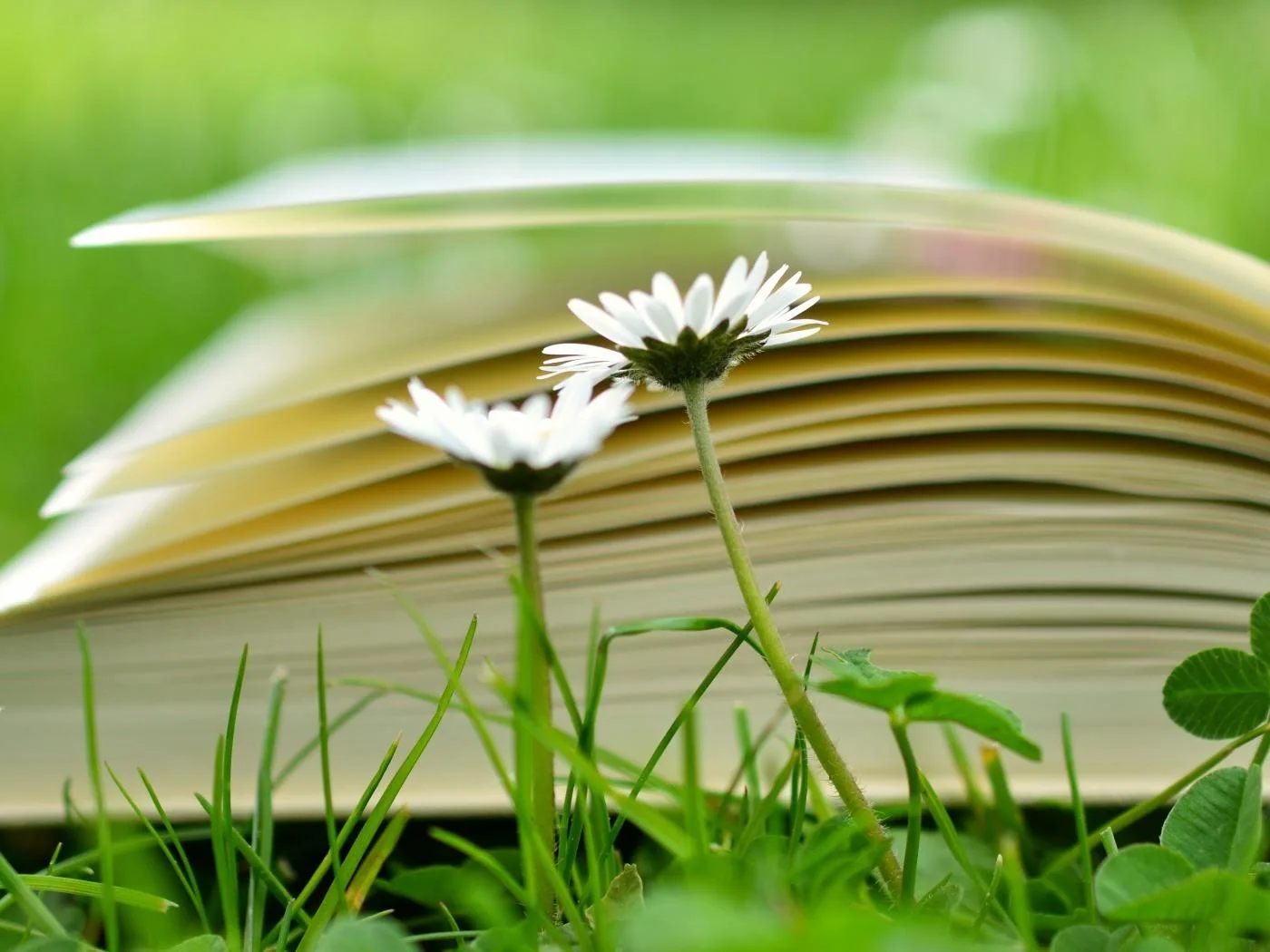 Лето — время ярких эмоций и… отличных книг! 📚
Не упускайте шанс погрузиться в новую историю на свеж