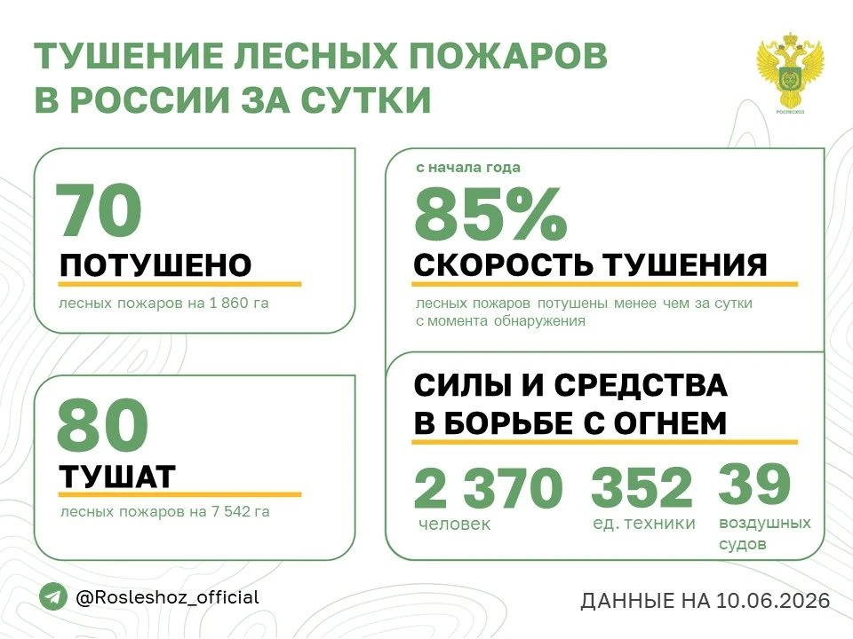 🟢 За прошедшие сутки в 17 регионах России потушили 70 лесных пожаров. 
Продолжается тушение 80 лесн