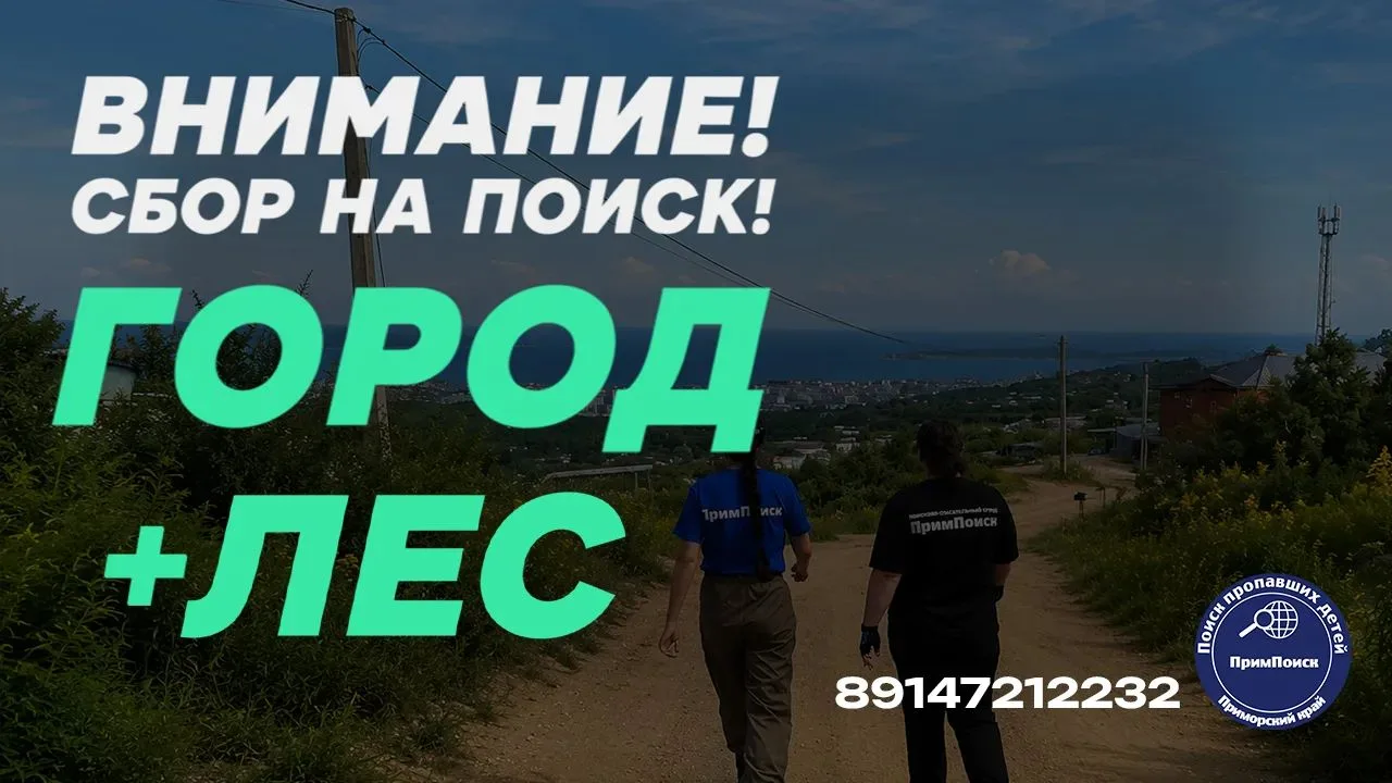 ⚡️ВНИМАНИЕ, АРТЁМ! СБОР НА ПОИСКИ!