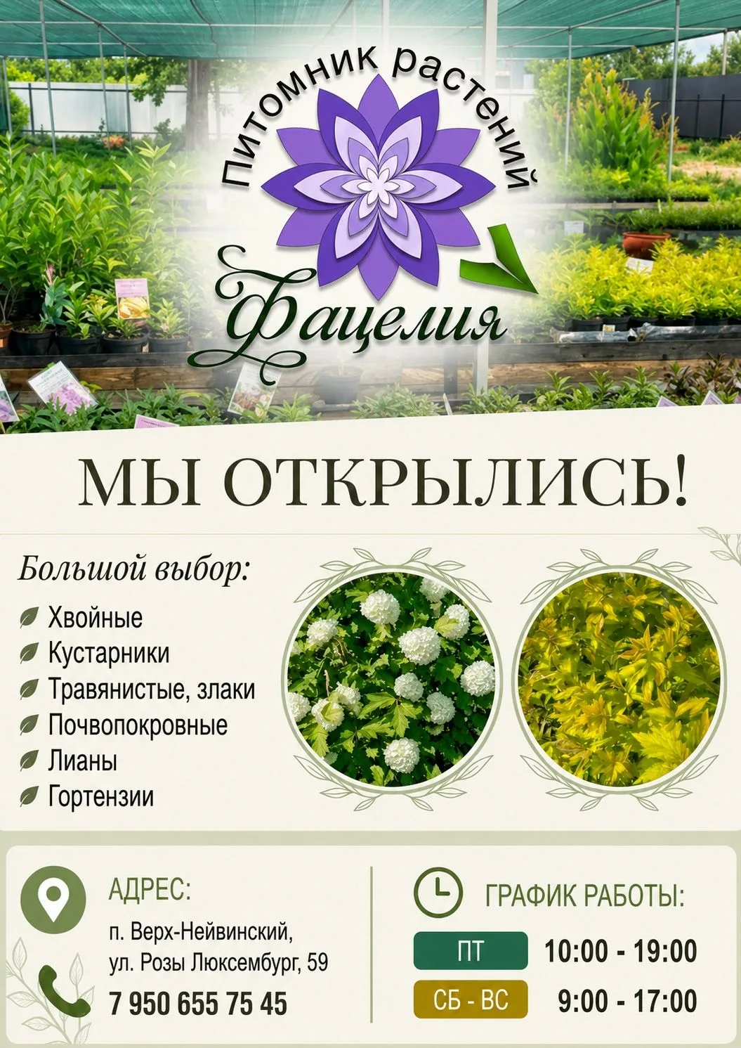 🌿 В посёлке Верх-Нейвинский открылся питомник декоративных растений «Фацелия»