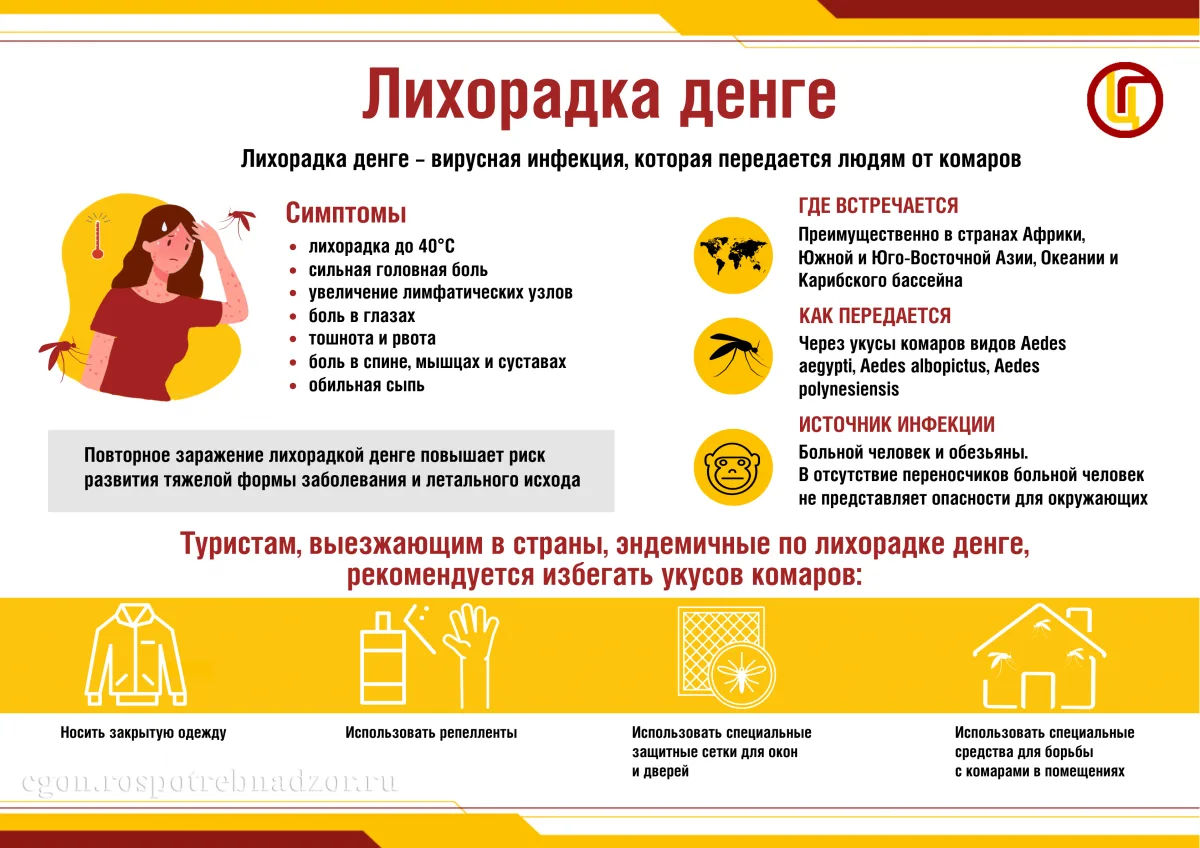 🦟 Какое же лето без комаров? Продолжаем знакомство с видом комаров Aedes — именно они ...