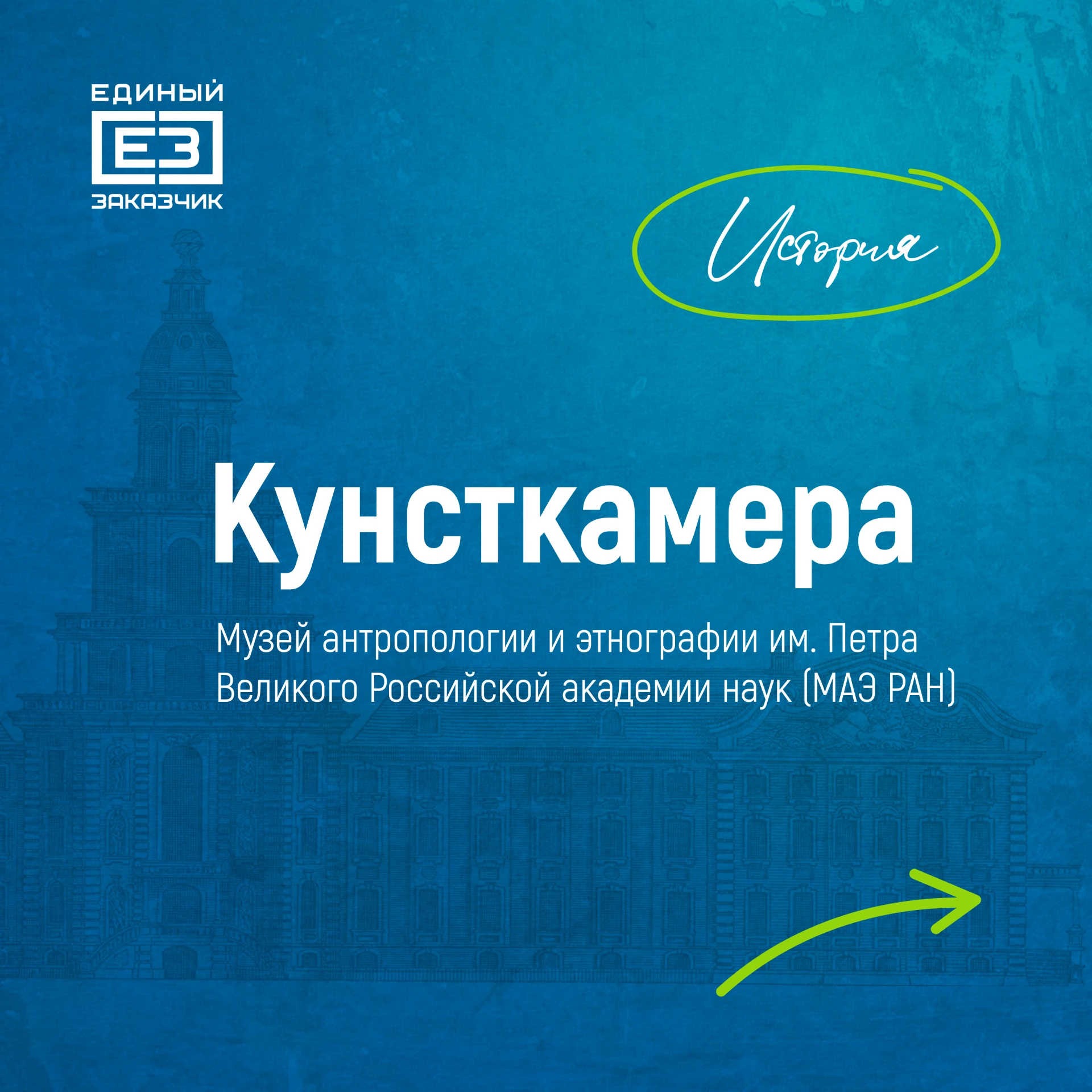 От Кунсткамеры Петра I до современного фондохранилища