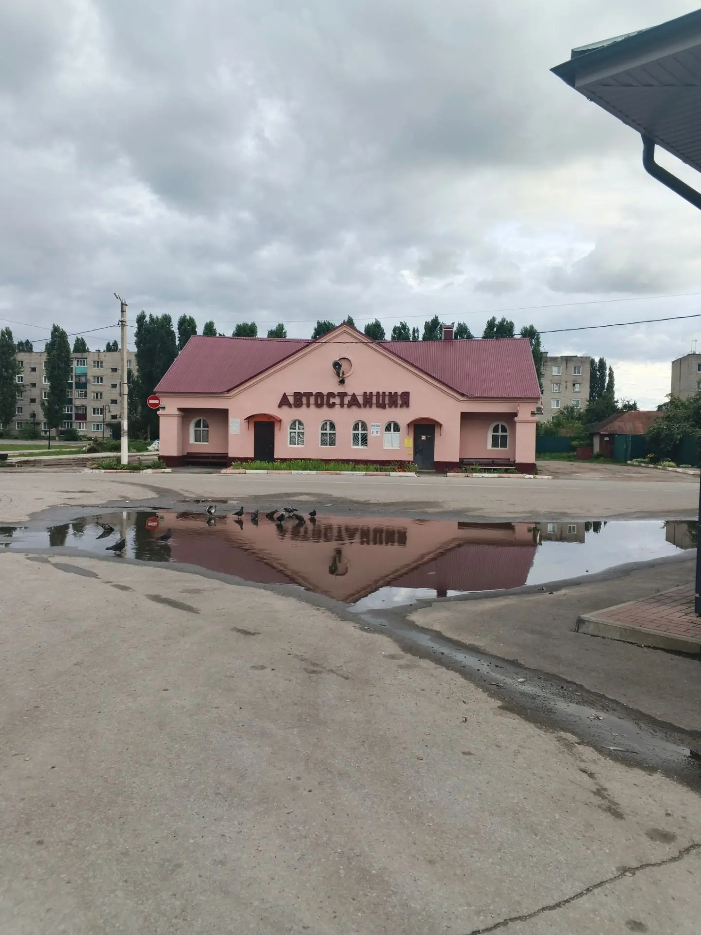 Чаплыгин в Макс 👉 max.ru/chapliginlive