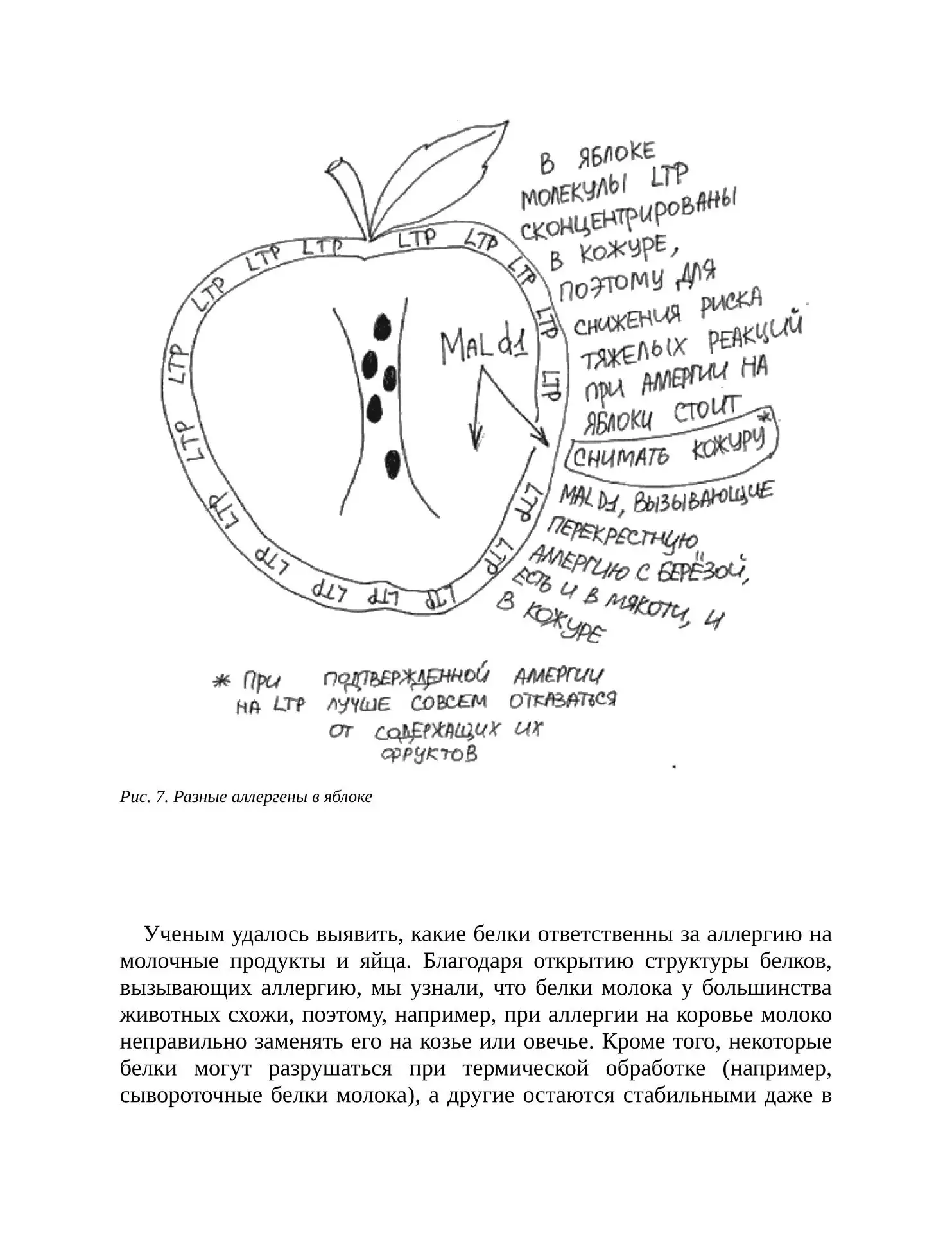 Аллергены (часть 2)