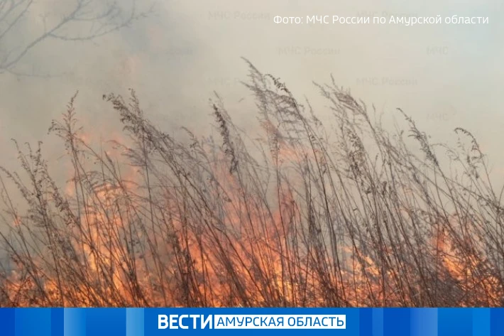 Режим ЧС вводят в амурских лесах  14 мая распоряжение о режиме чрезвычайной ситуации подписал глава 
