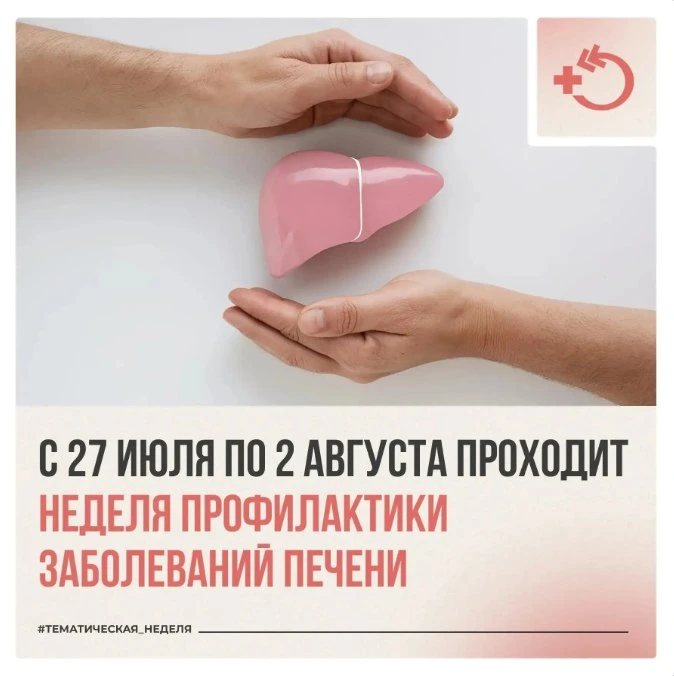 ⚙️  Печень работает непрерывно, выполняя более 500 функций по очистке крови и обмену веществ

Заболе