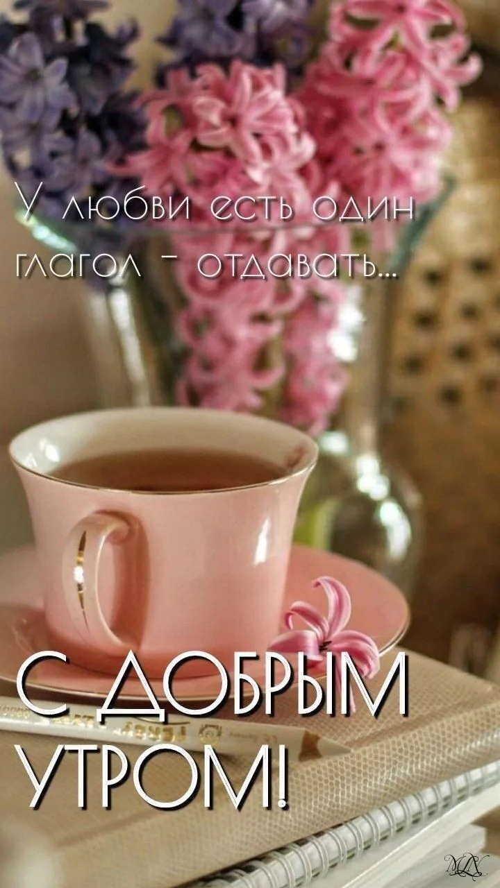 Лучшая открытка!
Подпишись и сохрани открытку