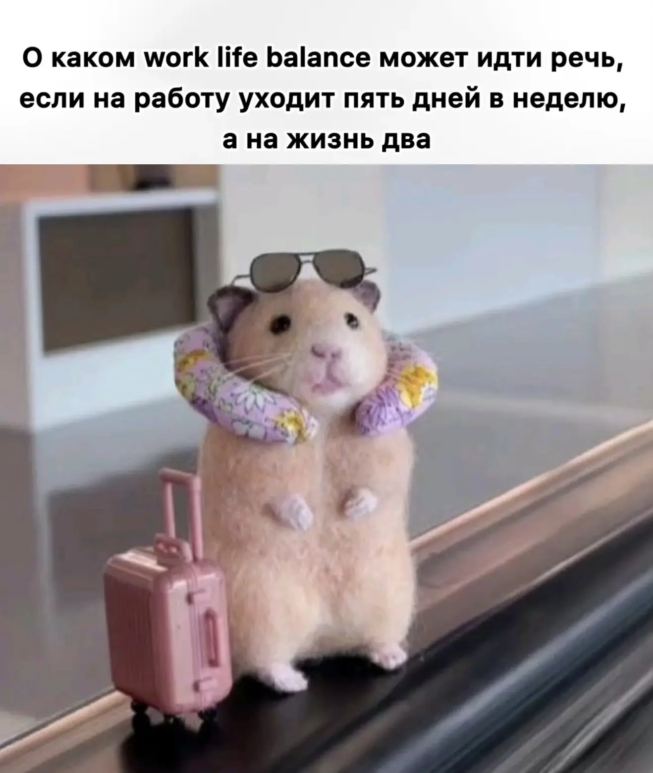 Муд дня😸🙈