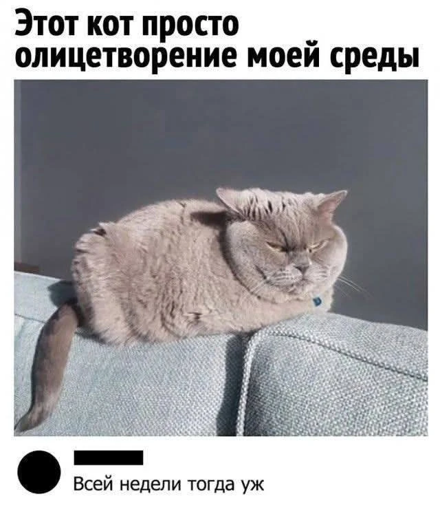 Да🤣