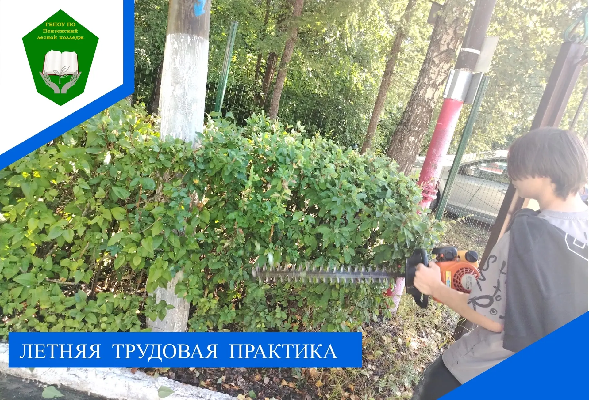 В рамках летней трудовой практики студенты колледжа продолжают благоустройство территор...