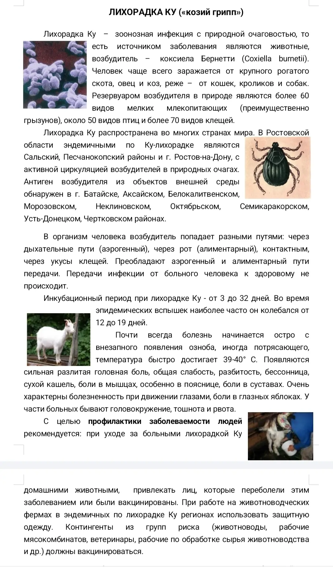 В связи с наступлением тепла многие животные и насекомые являются носителями и пересчик...