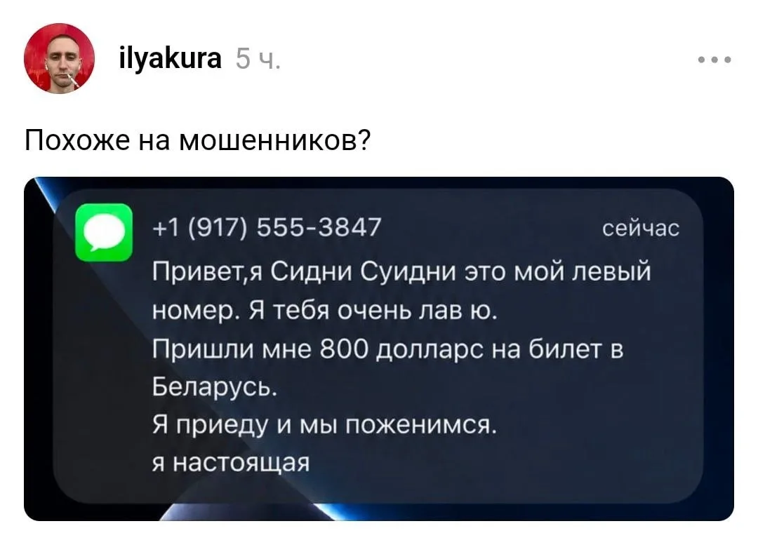 Скамеры пишет белорусам, прикидываясь Сидни Суи(д)ни. План заработка, конечно, у них сомнительный.
