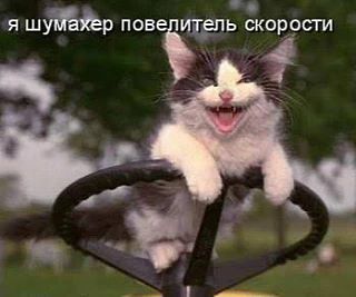 Слово «шумахер» официально внесли в словарь русского языка