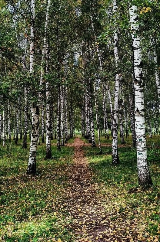🍂Осеннее настроение в парке