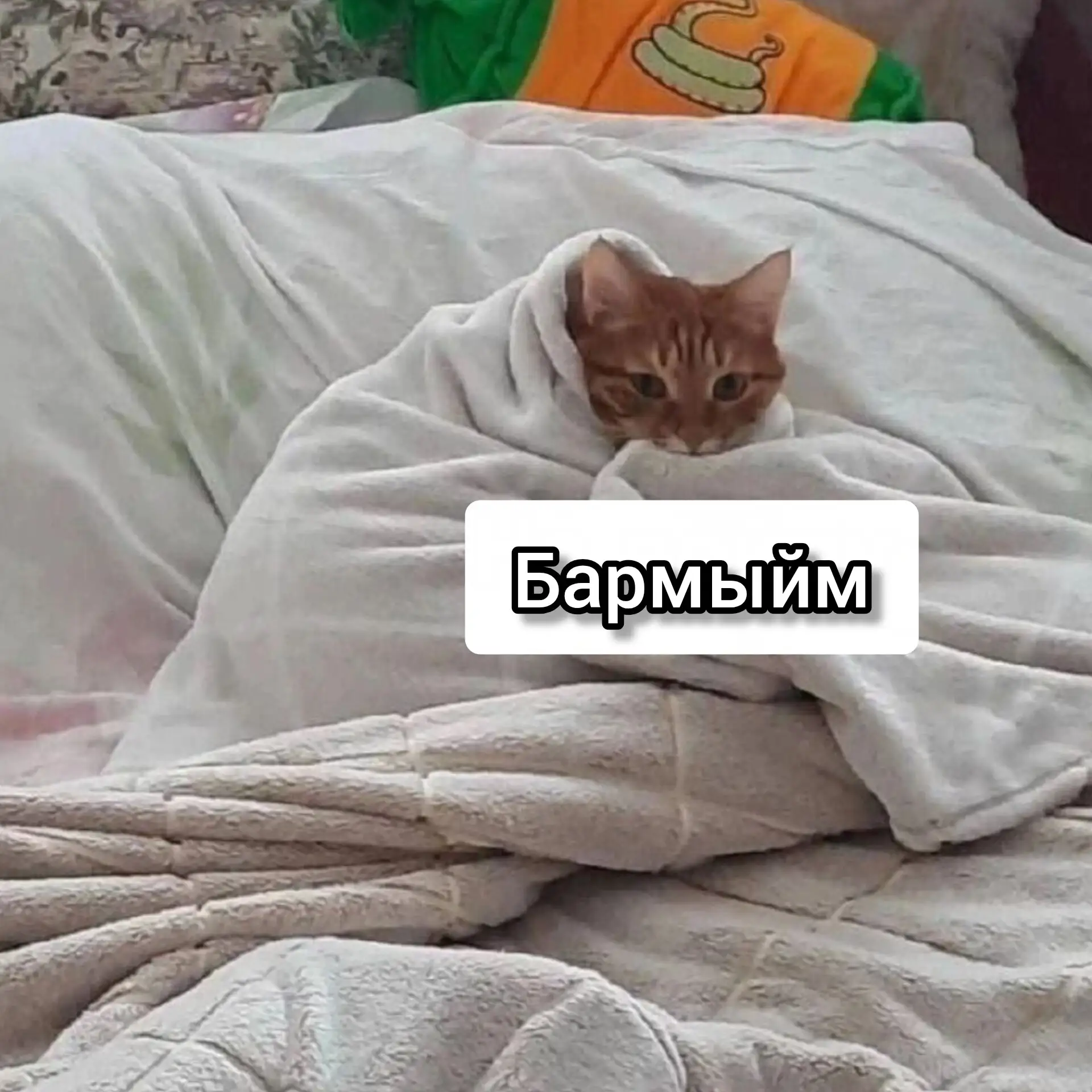 Хәерле иртә 🌼