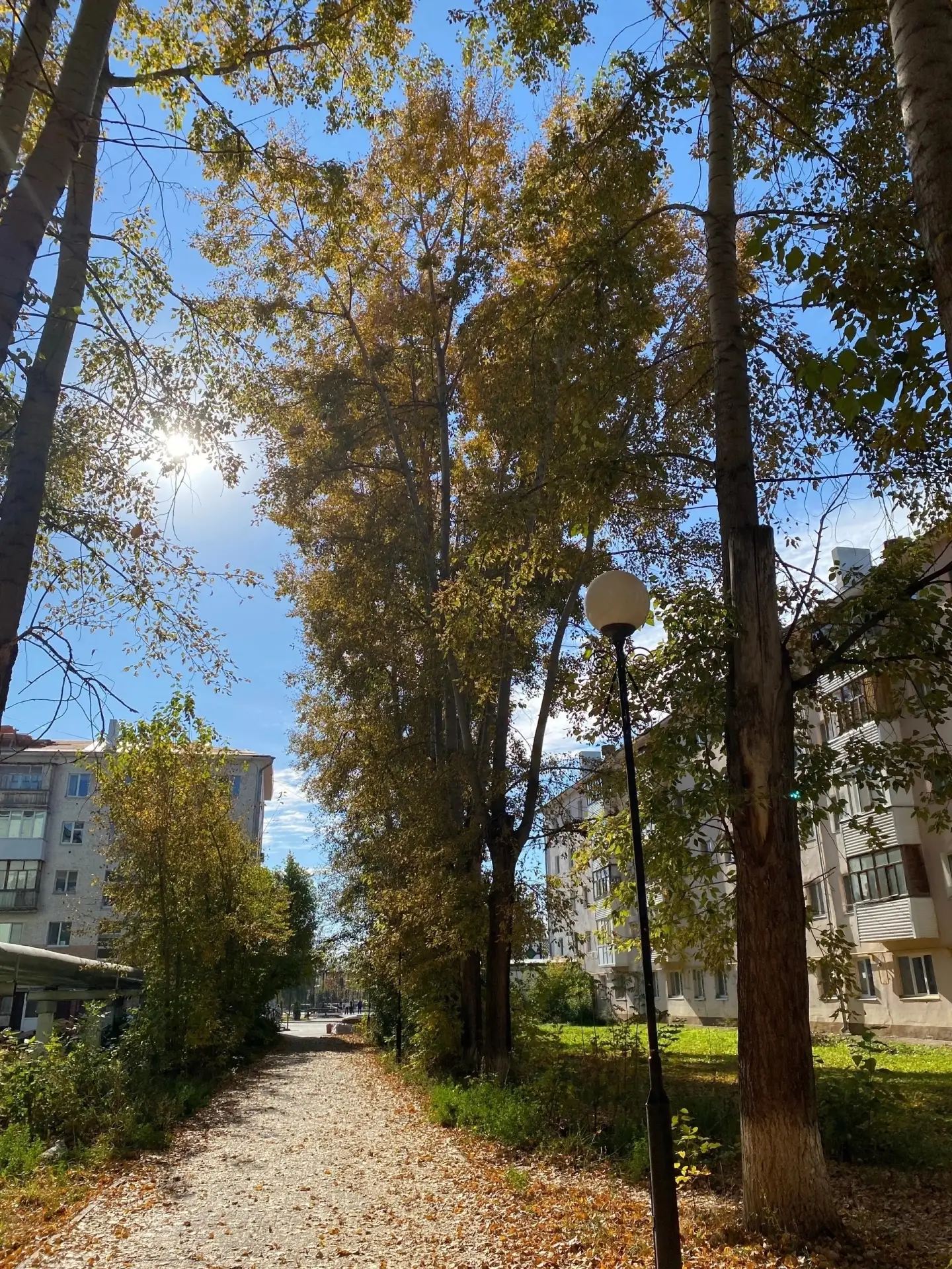 Социал.36. во всём доме нет отопления до сих пор.Батареи ледяные. Звонили в субботу.Ска...