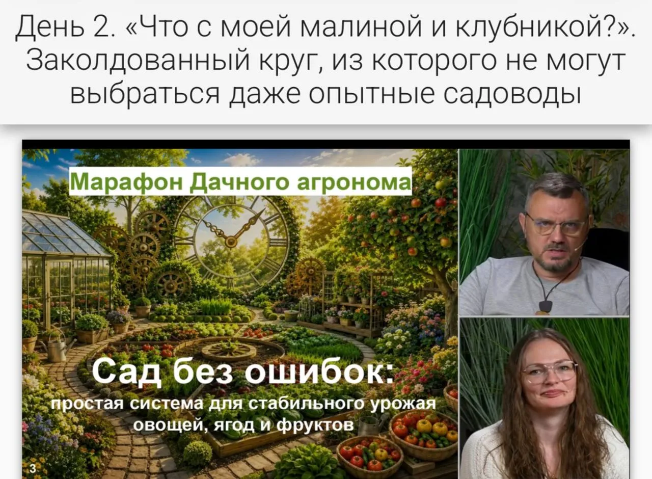 Земляничный клещ “приезжает к вам в отпуск” каждое лето?

Пора с ним попрощаться и оставить ягоды дл