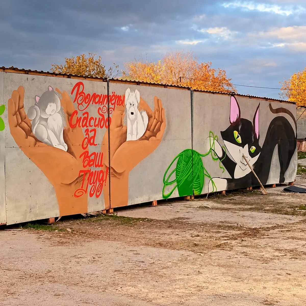 В ноябрьском приюте для животных появится уличное искусство 🐾