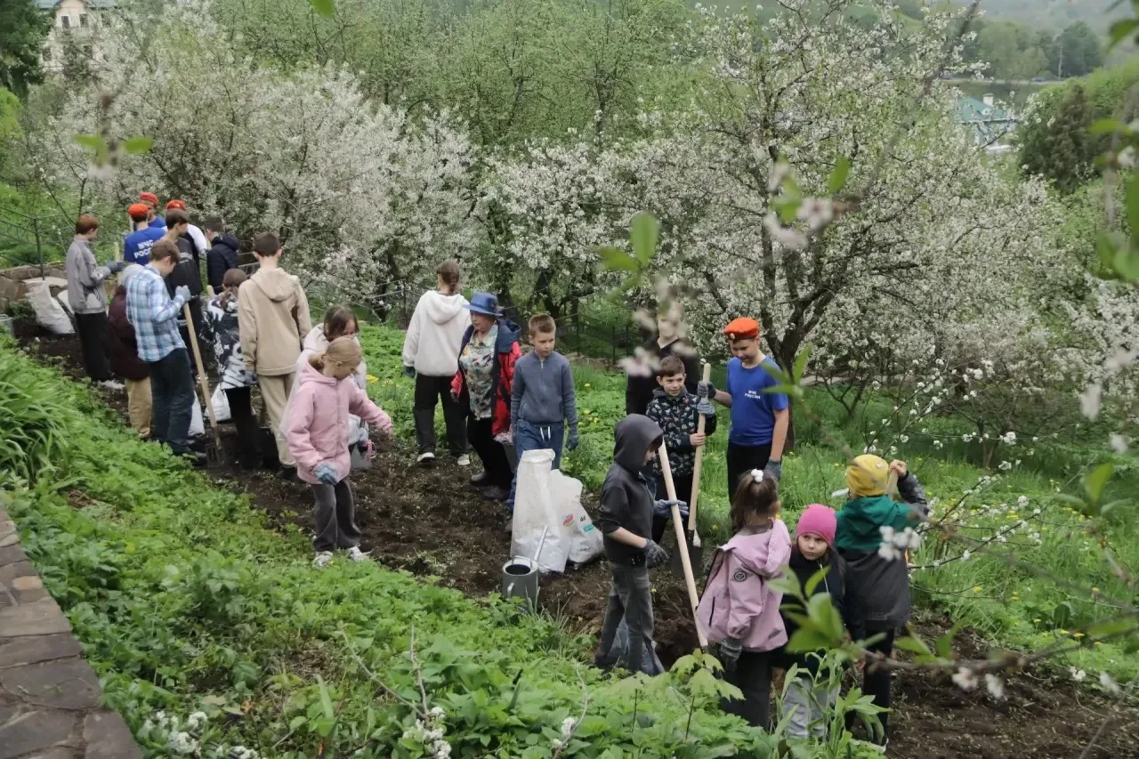 🍒 Возрождение "Владимирской вишни" в Патриаршем саду!   На станции юннатов «Патриарший сад» прошло б