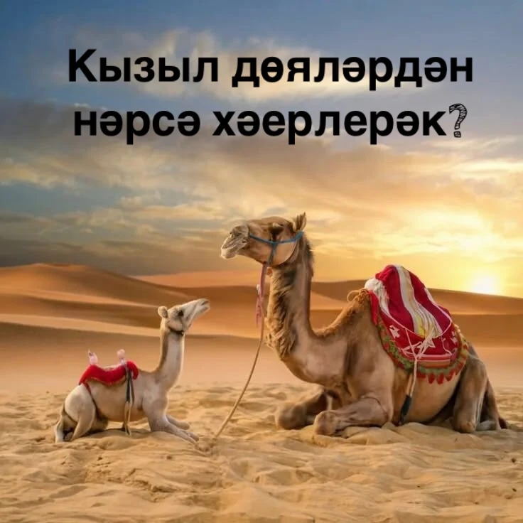 ❗️Хөрмәтле дин кардәшләрем, безнең максатыбыз халкыбызга күбрәк дини - әхлакый мәгълүмат тарату. 🔝
