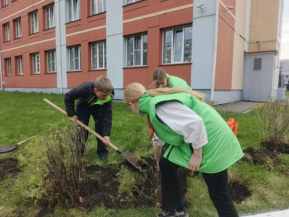🌿 «Сад Памяти» в школе №110: живые ростки благодарности 🌳Ученики 5-х классов присоединились к всерос