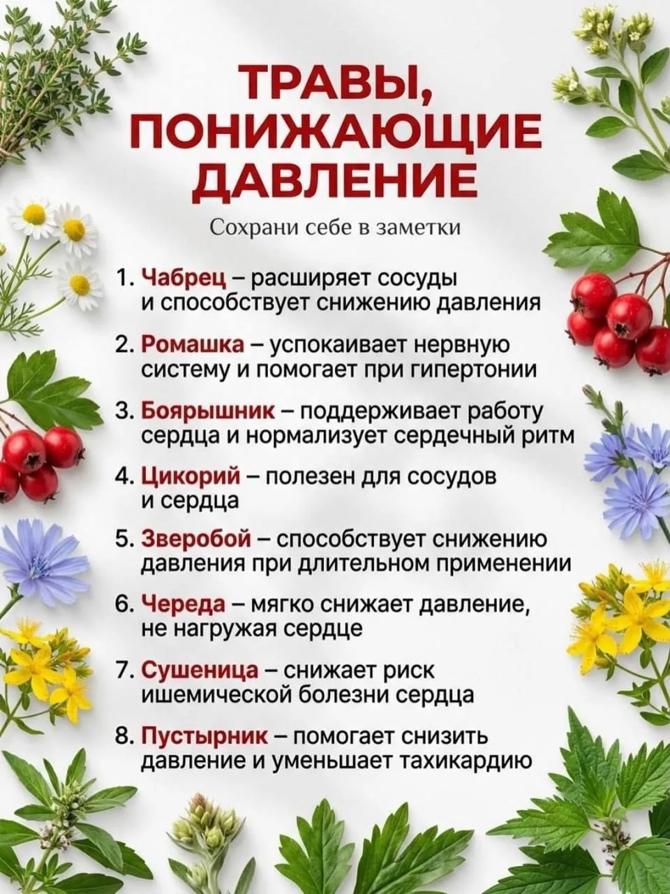 Список трав, понижающих давление 👍🏻