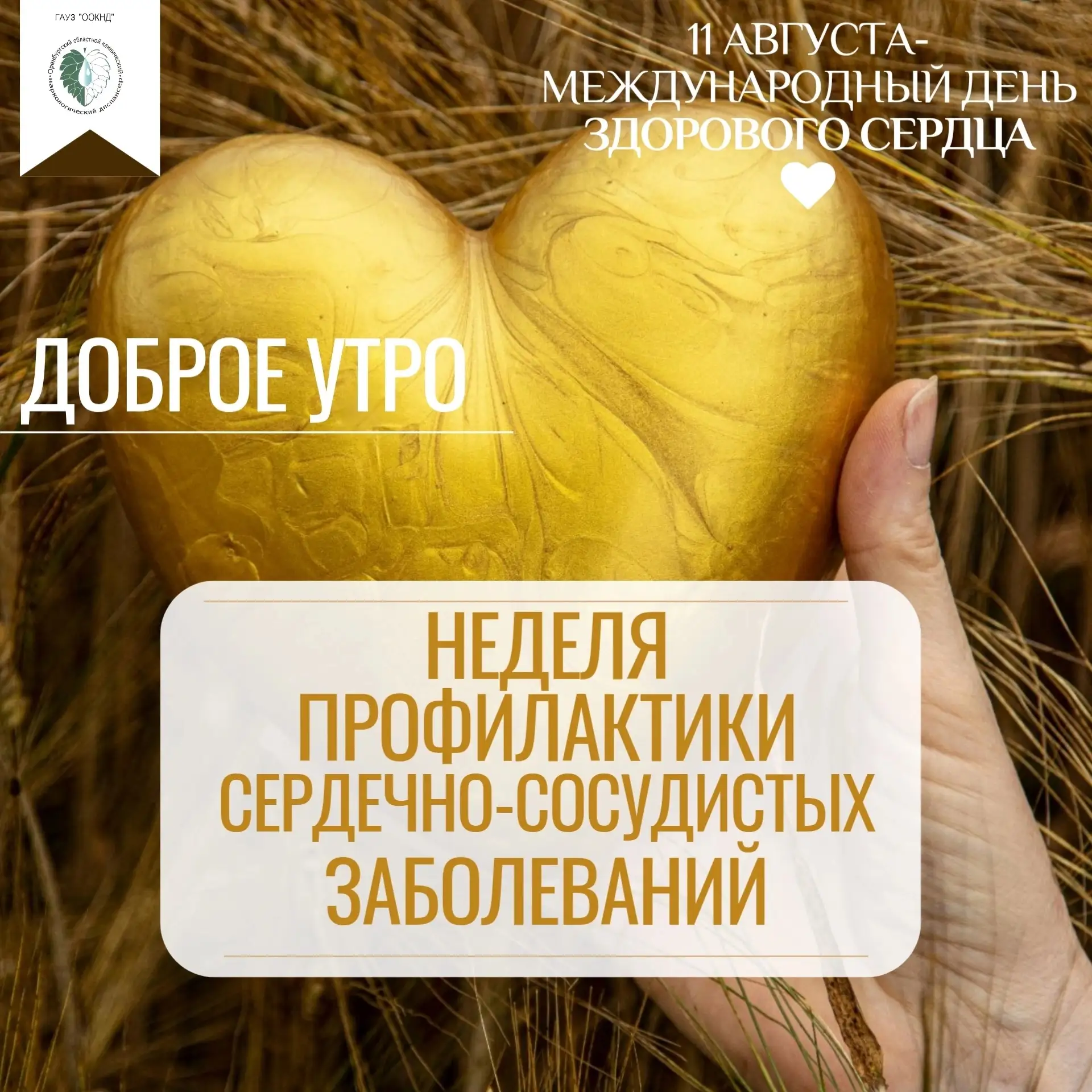 Добрейшего утра, дорогие коллеги и подписчики сообщества наркологического диспансера 💛💛