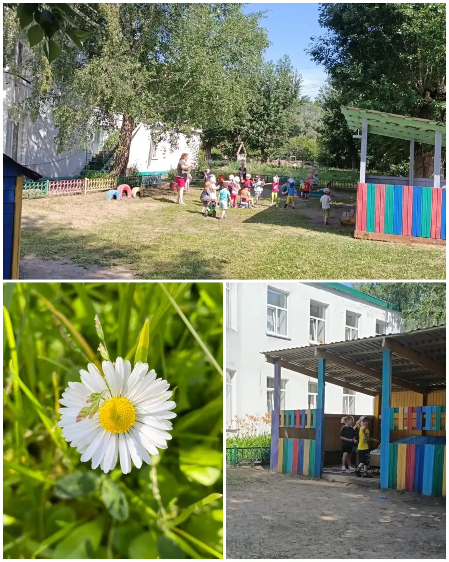 Лето, ах лето.......🌼🌿🌼