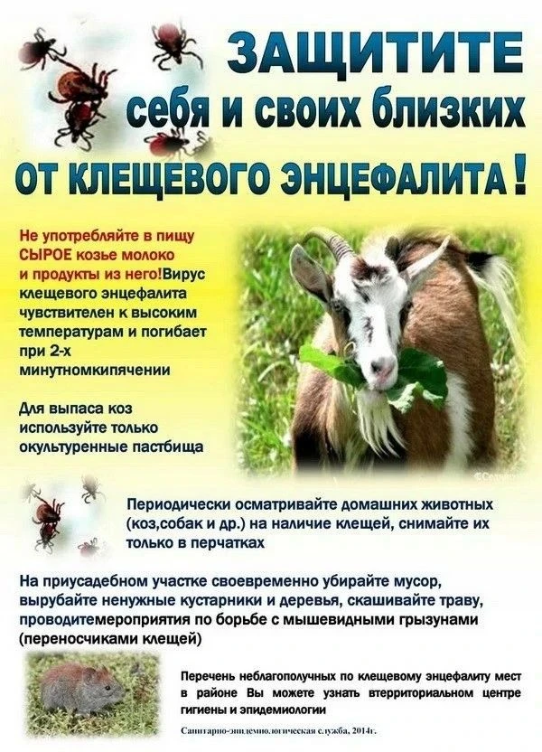 Будьте осторожны!
