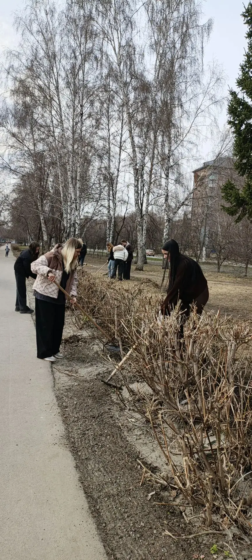 🌱 Чистота территории — забота общая  Весна — время пробуждения и наведения порядка. Ученики МБОУ «Ги