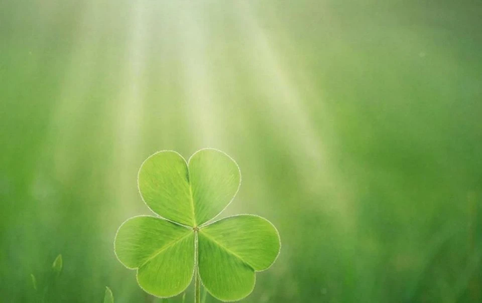 🍀Обряд на исполнение желания 🍀