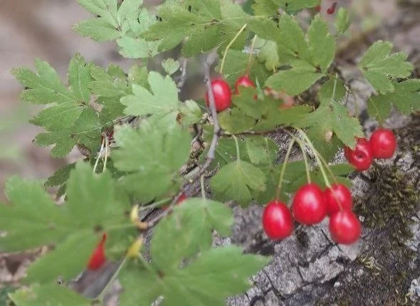 📅 Понедельник, 5 октября: праздники и именины
