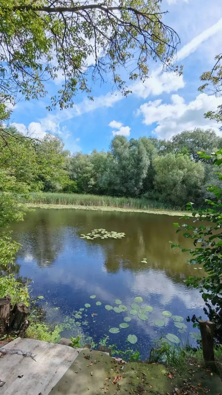 Инвестиции — это как рыбалка. И сейчас объясню, почему 🎣
