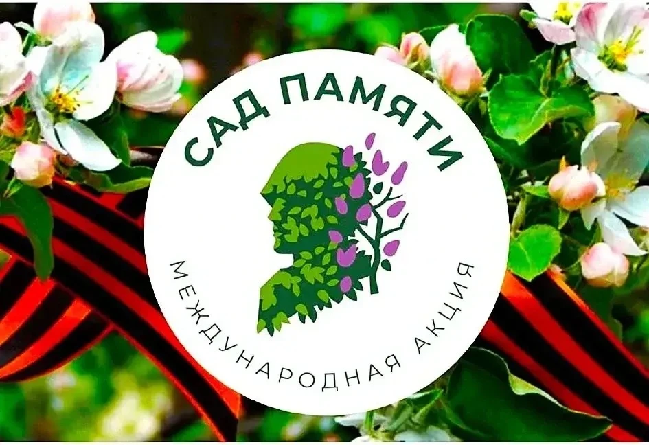 Международная акция «Сад памяти»  «Сад памяти» — больше, чем акция.   Война коснулась каждой семьи. 