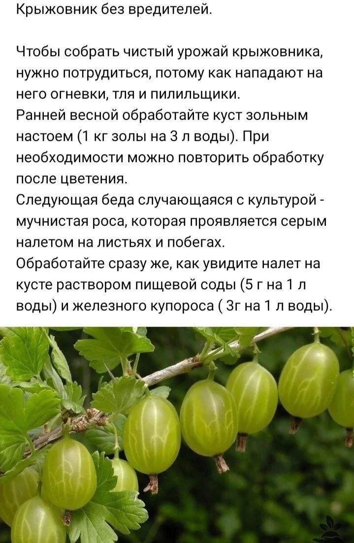 Молоды душой всегда — Подписаться