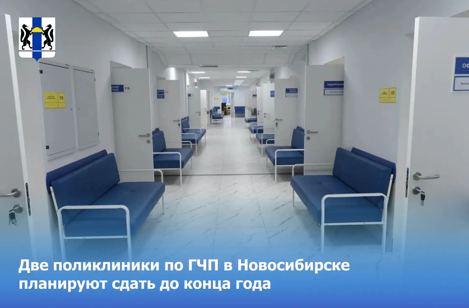 Стрижи | Карьер Мочище | Новосибирск🏡