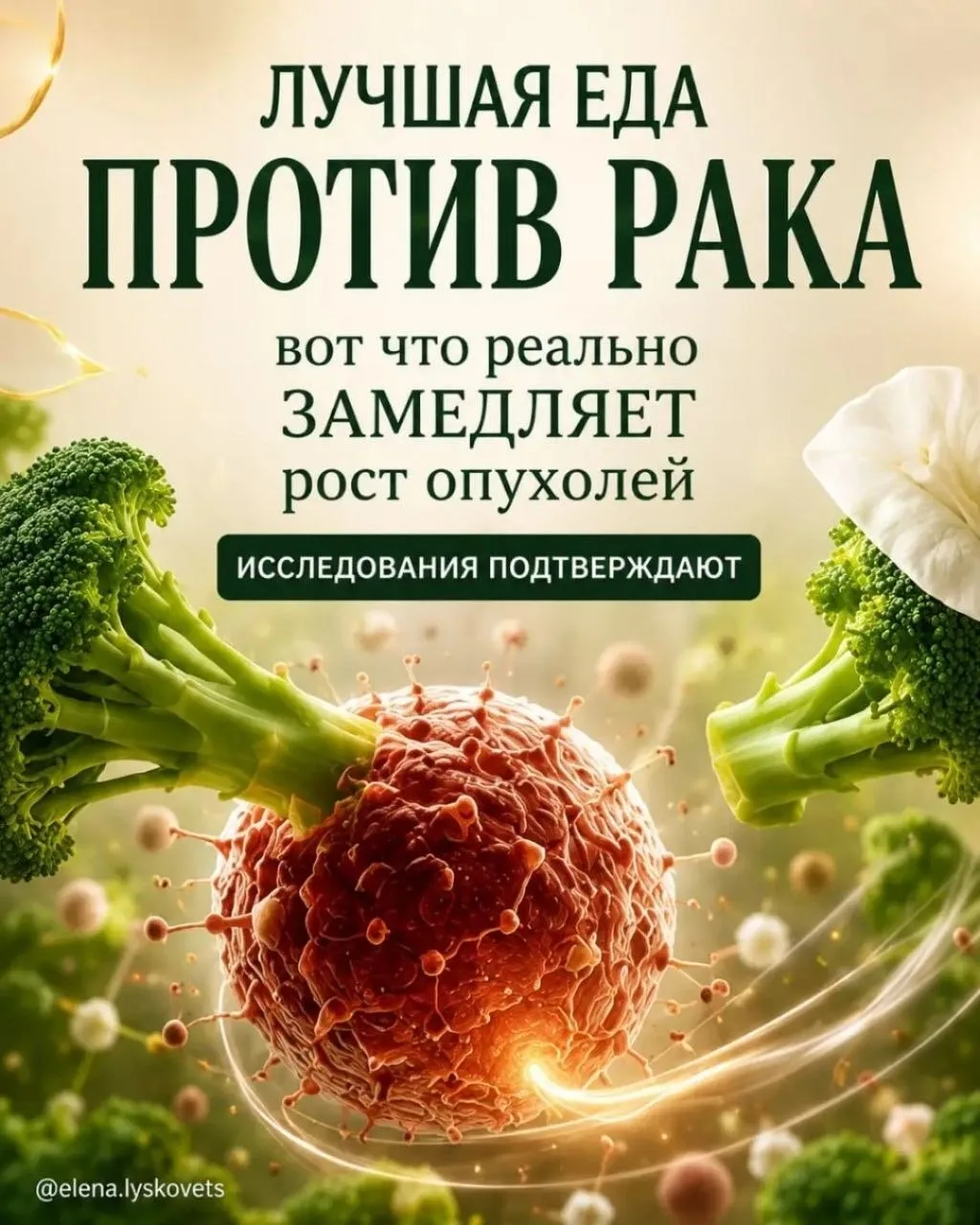Лучшая еда против рака.