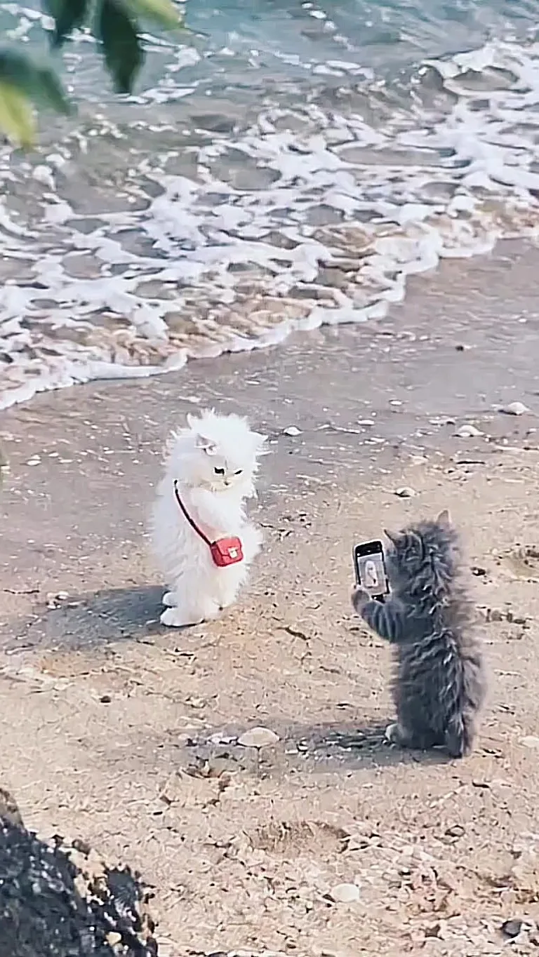 Видео: https://vk.ru/clip-59717399_456240991