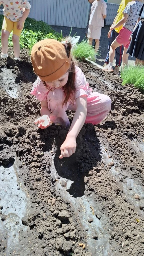 🌱 Наши ребята — настоящие юные агрономы! 🌱