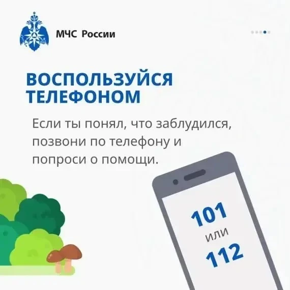 Если ты заблудился в лесу!  ⛺Если вы оказались в ситуации, когда не можете найти дорогу из леса, важ
